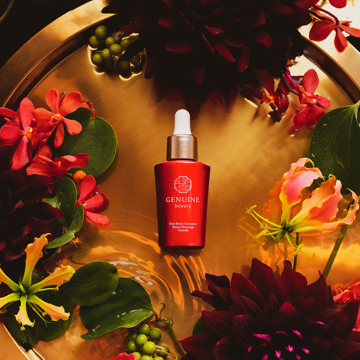 DSC04813_1_s_36bd5def-0653-